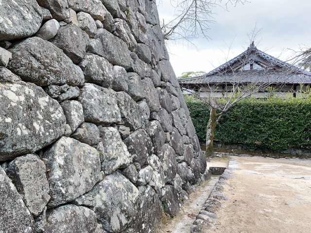 松坂城　石垣