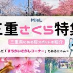 Mie Prefecture Sakura Special