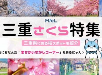 Mie Prefecture Sakura Special