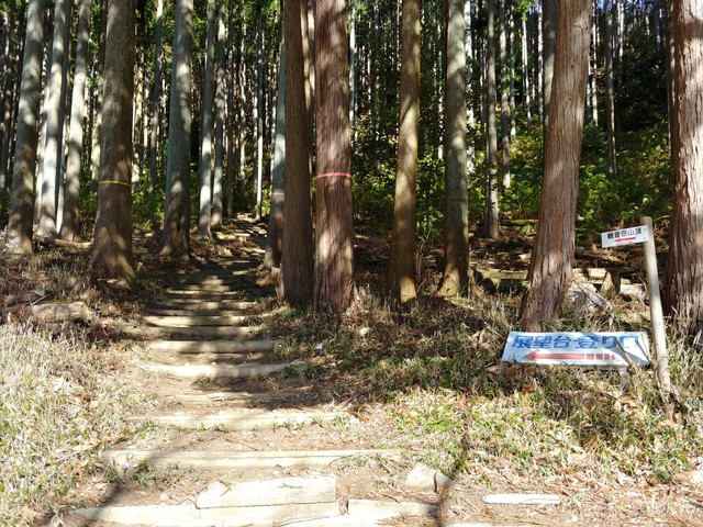 松阪市森林公園登山道miespot matsusaka shinrin kouen_5
