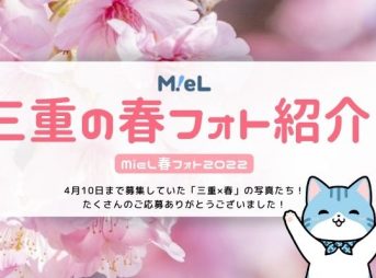 MieL spring photo contest