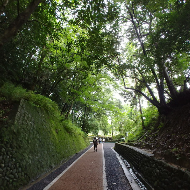 伊賀上野城への道