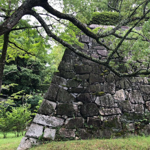伊賀上野城石垣