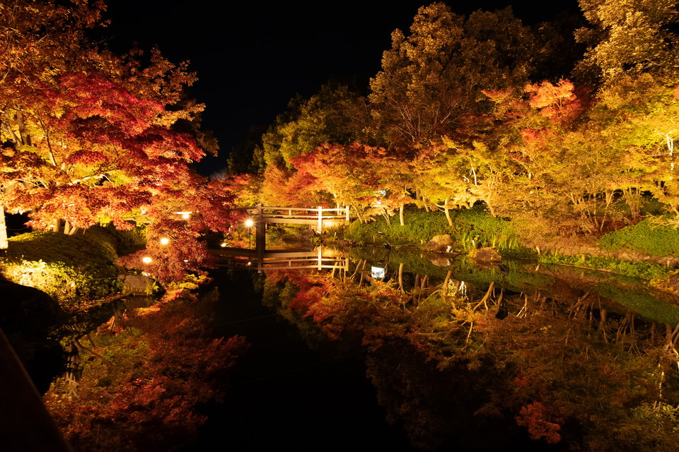 一度は訪れてみたい 絶景がひろがる 三重の紅葉スポット12選 Miel 一度は訪れてみたい 絶景がひろがる 三重の紅葉スポット12選 Miel