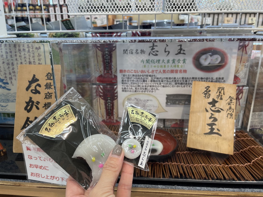 Kameyama Parking Area_Shiradama Magnet Key Holder (1)