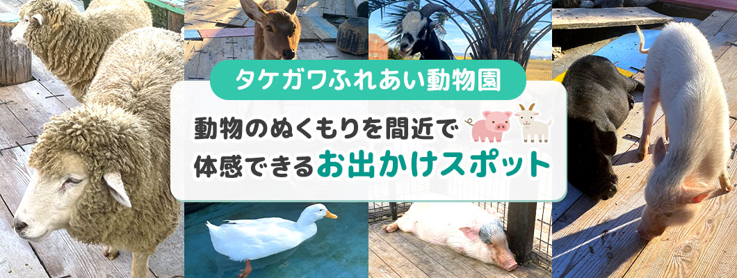 タケガワふれあい動物園_アイキャッチ