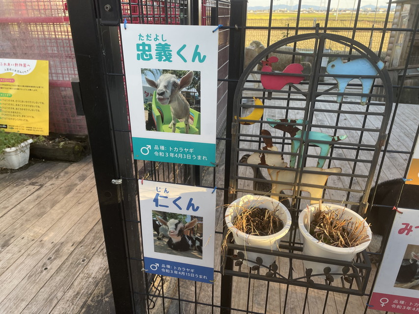 動物のネームプレート