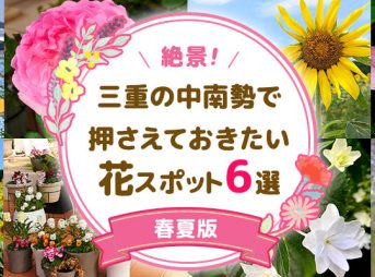 Flowers of Mie -Naka-Sei, Minami-Sei -Spring & Summer- Eye Catching