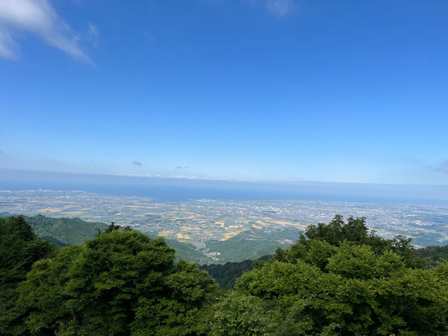 堀坂山の山頂