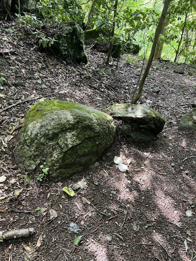 Hiking Trail _ Resting Point