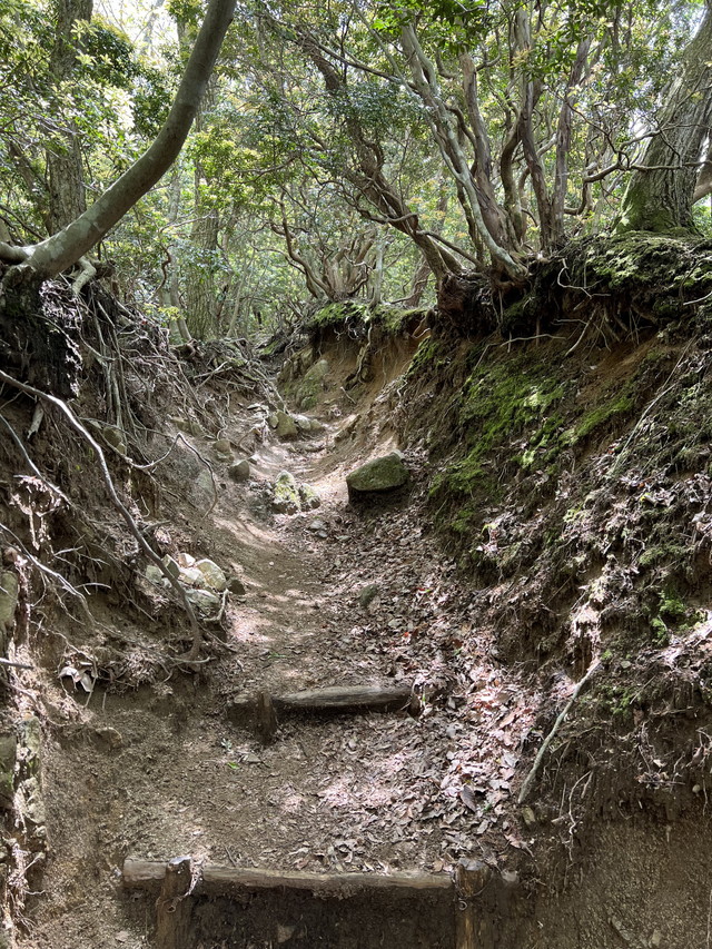 mountain trail